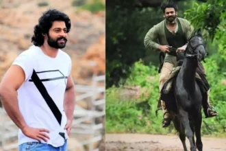 Prabhas Net Worth 2023 – Unveiling the Wealth of Indian Cinema's Superstar